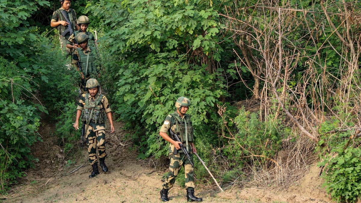  Border Security Force (BSF) personnel patrol along the border (File Photo)