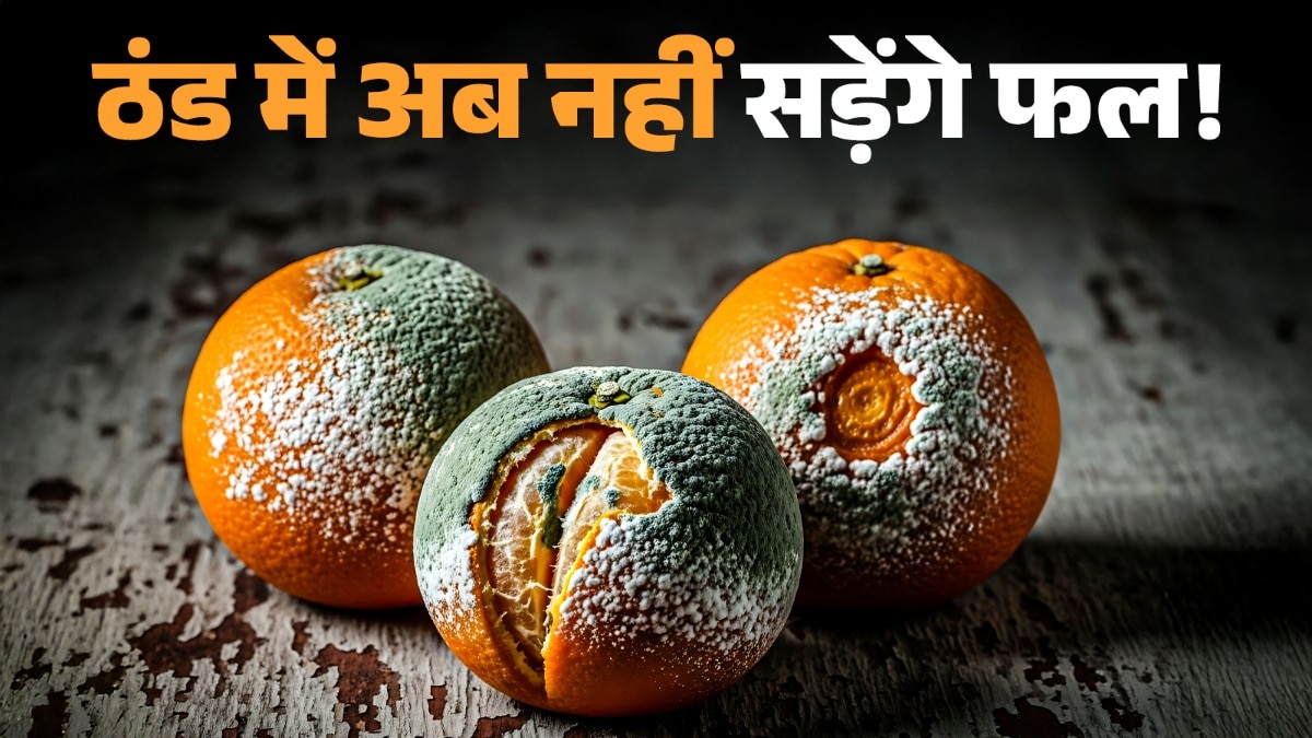 कुछ फल एथिलीन नामक गैस छोड़ते हैं, जिसकी वजह से बाकी फल सड़ जाते हैं. (Photo: ITG)