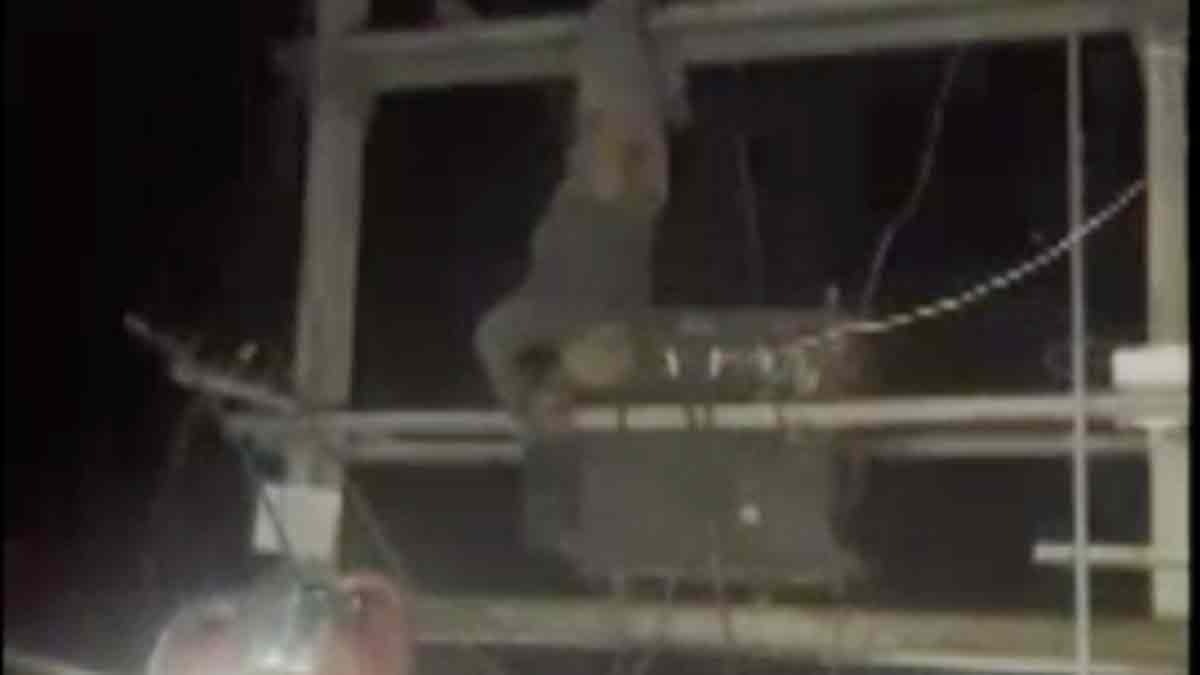 Dead body hanging on transformer 