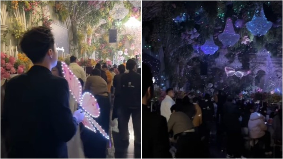 china-wedding-bionic-butterfly-drone-delivers-ring-viral-video