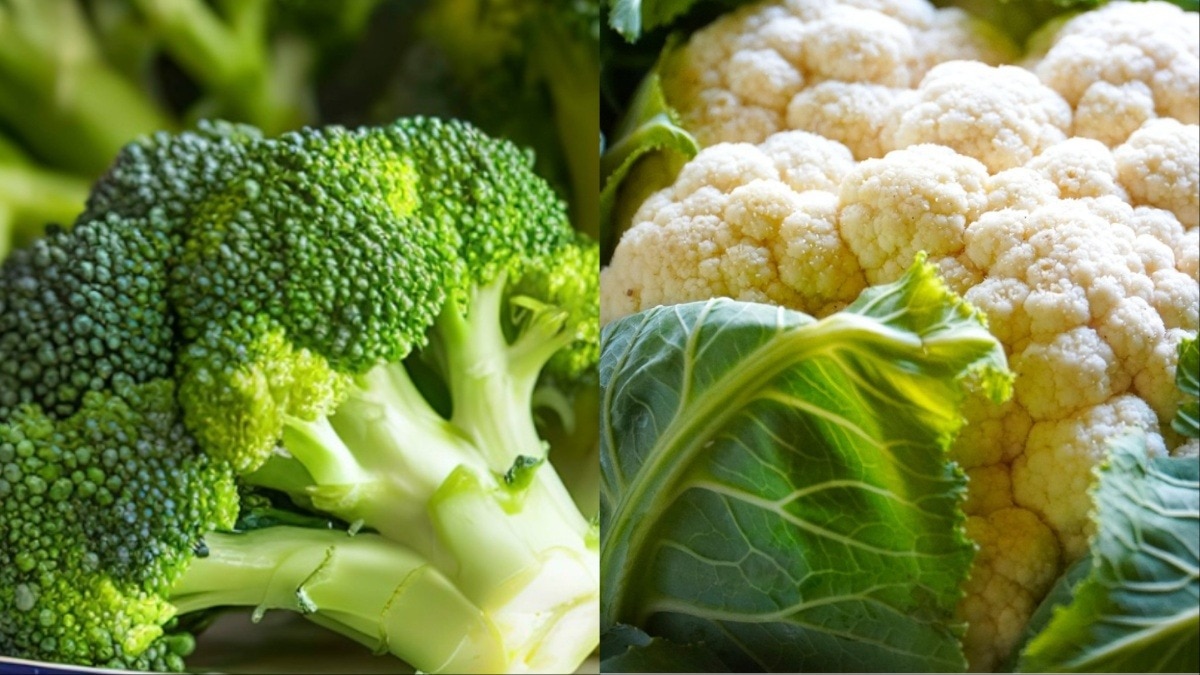 फूलगोभी या ब्रोकली: वजन कंट्रोल करने और हेल्दी रहने के लिए रोजाना क्या खाएं? (Photo- pixabay & Getty Image)
