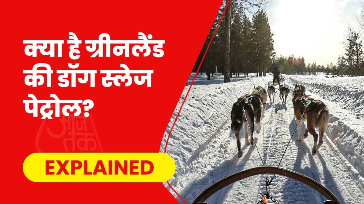 ग्रीनलैंड में सिरियस डॉग पेट्रोल गश्त करते हुए बारीक से बारीक बदलाव पर नजर रखता है. (Photo- Pexels)