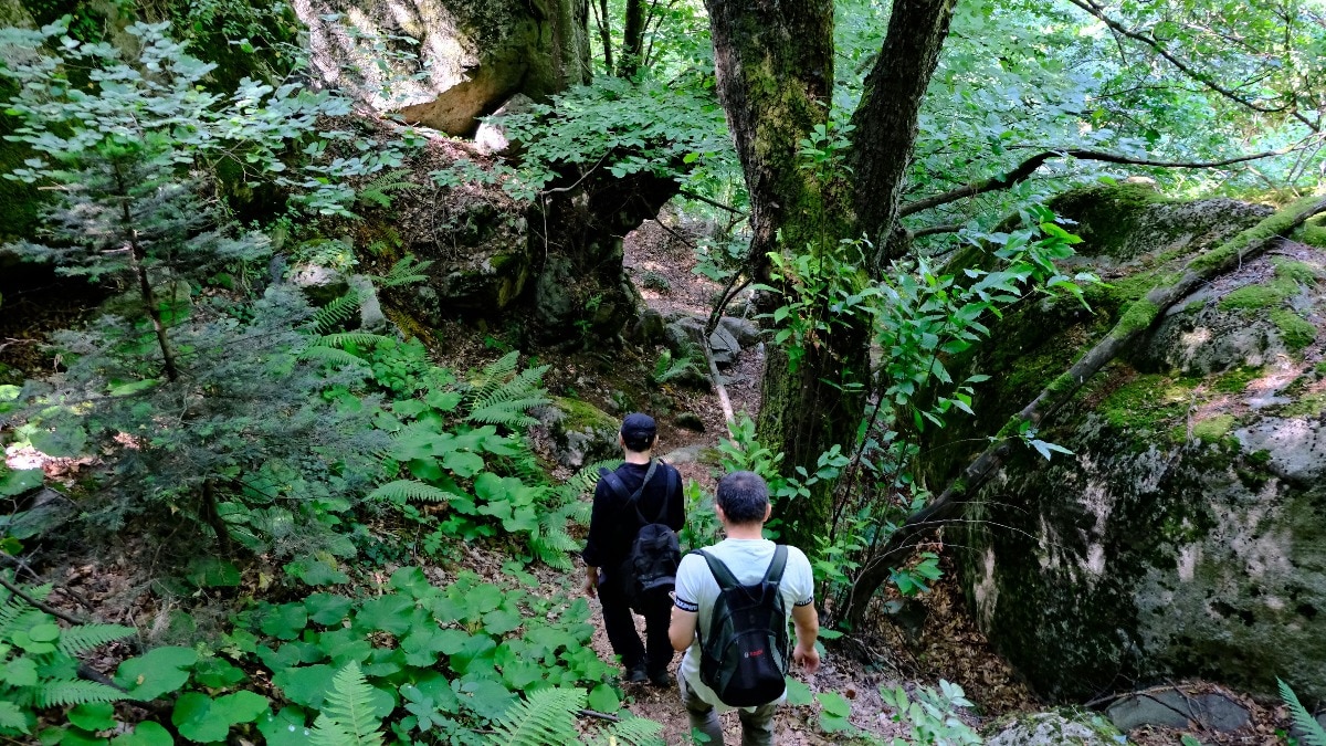 ऐसे करें पर्यावरण के अनुकूल यात्रा (Photo: Pexels)