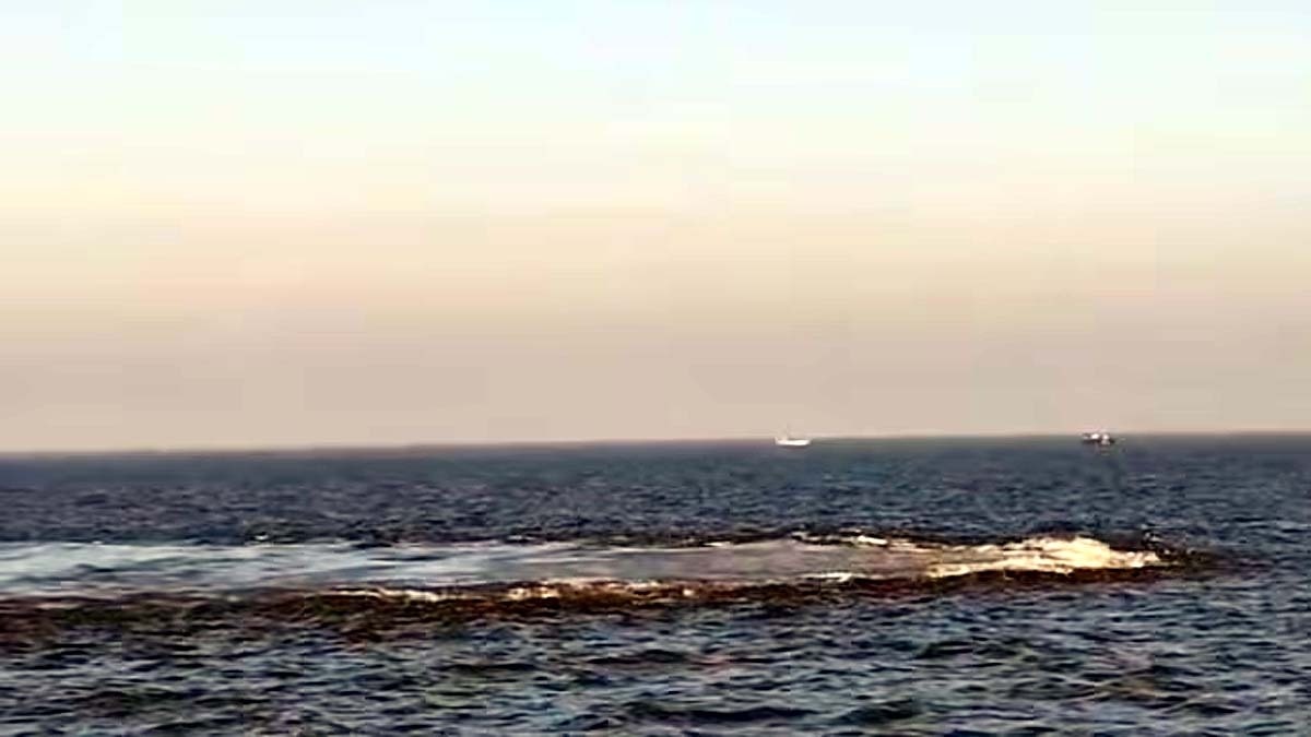 boiling seawater Gujarat