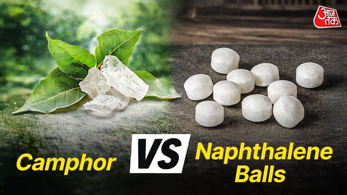 Camphor Vs Naphthalene Balls (Photo: ITG)