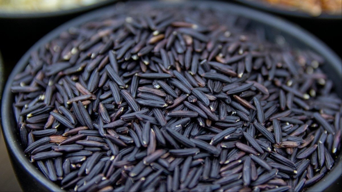 ब्लैक राइस खाने के फायदे (Photo- Pixabay)
