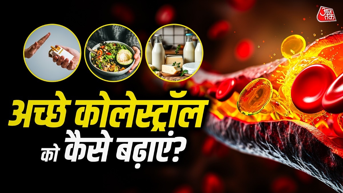 How to increase Good Cholesterol