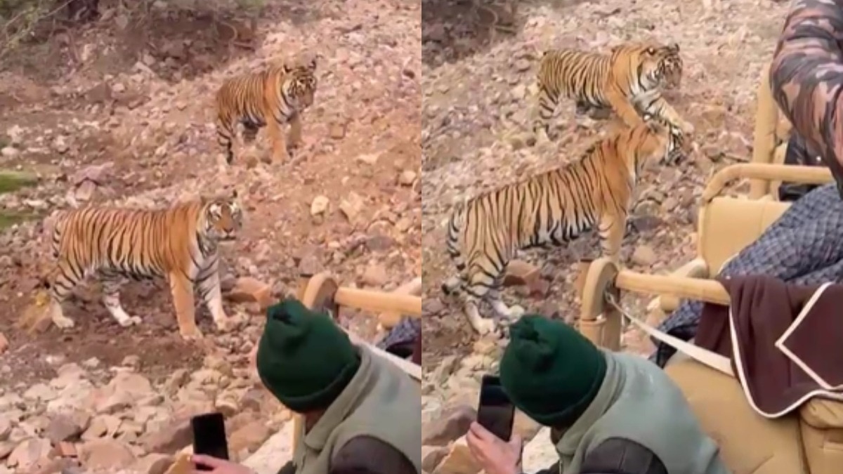 वीडियो वायरल. (Photo: Screengrab)