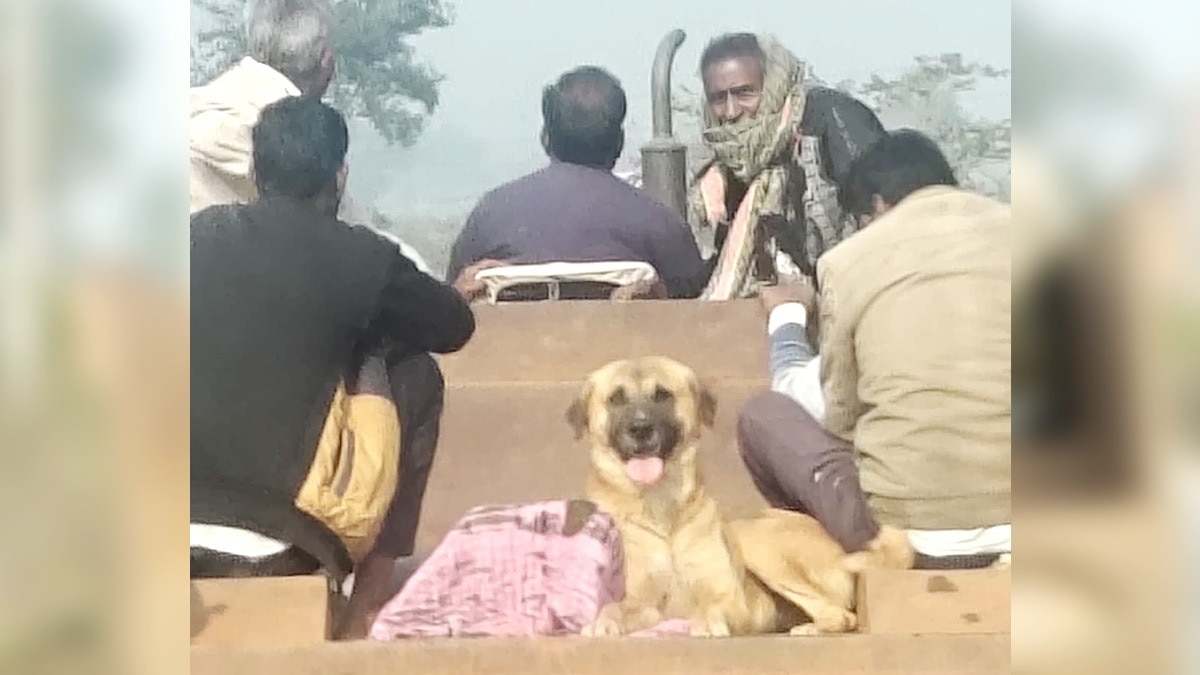 बेजुबान की तड़प देख परिजनों ने उसे बीच रास्ते में ही ट्रॉली में बैठा लिया.(Photo:Screengrab)