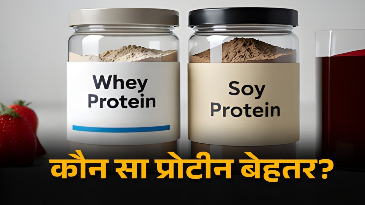 प्रोटीन सप्लीमेंट एक्सपर्ट की सलाह से ही लेना चाहिए. (Photo: ITG)