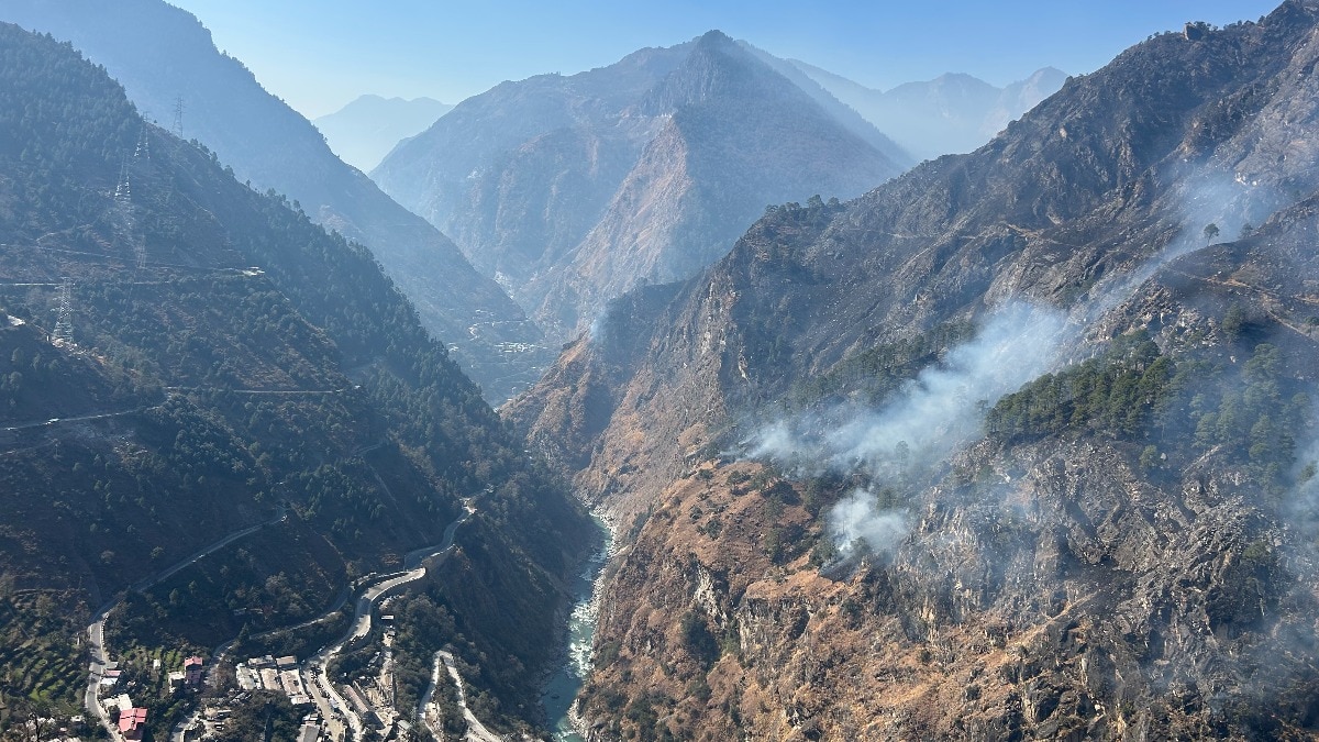 joshimath wild fire