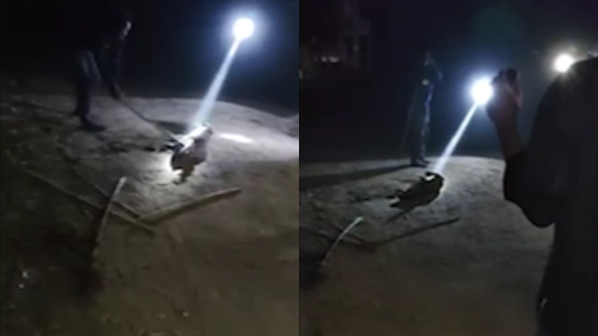 क्रूरता की हदें पार.(Photo: Screengrab)