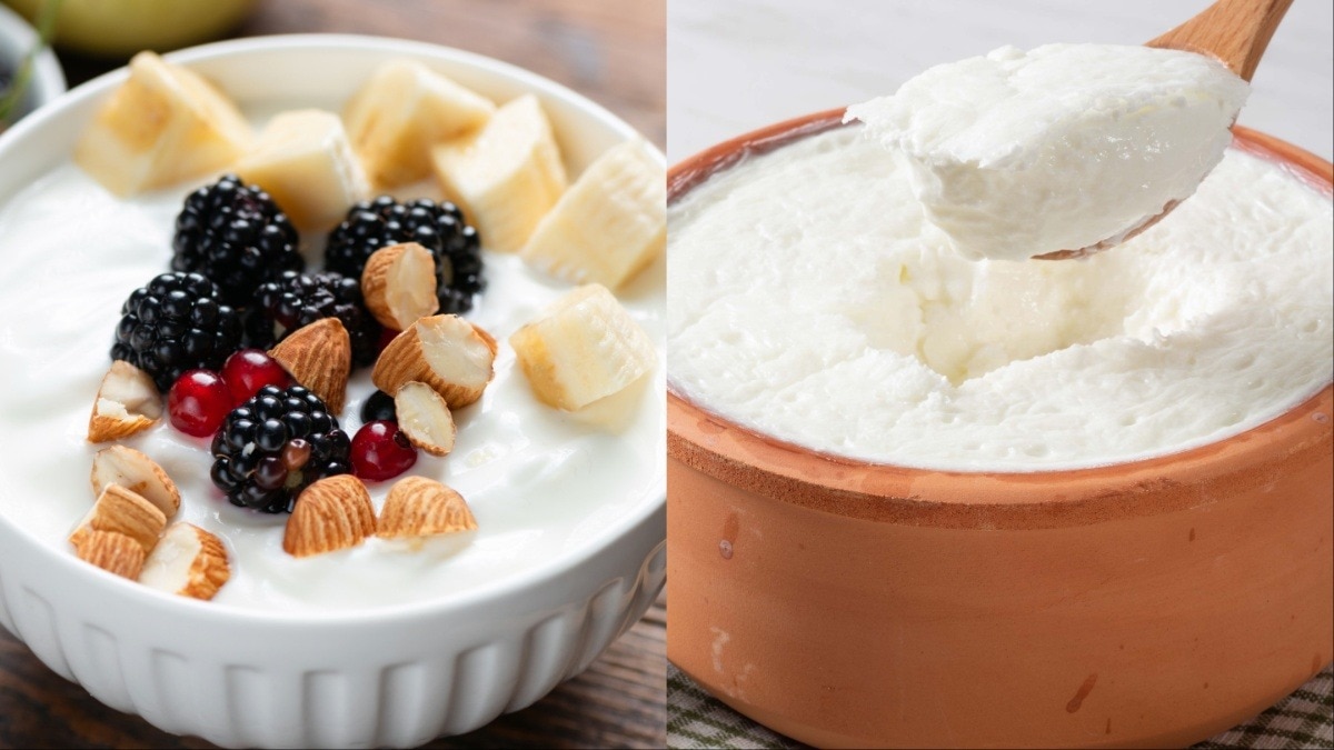ग्रीक योगर्ट या सादा दही में कौन ज्यादा हेल्दी है? (Photo- Getty Image)