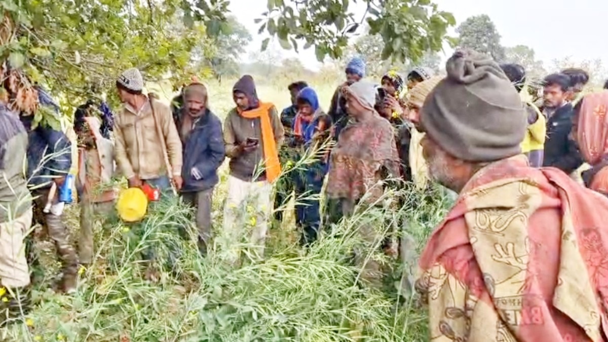 तेंदुआ हमले के पीड़ित परिवार को मिलेंगे 8 लाख रुपए.(Photo:ITG)