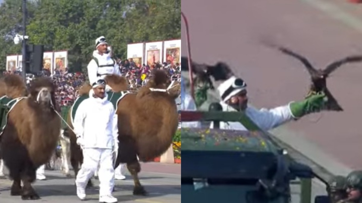 India's Silent Warriors On Kartavya Path Bring Army’s Battle-Tested Animals To Republic Day Parade