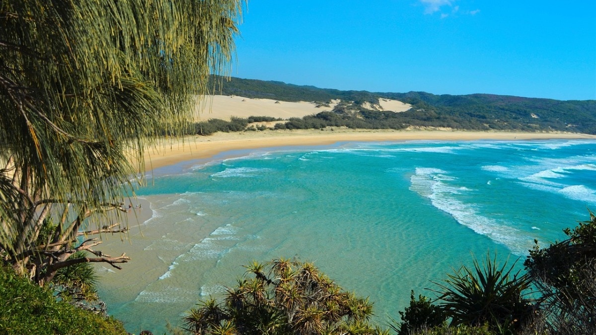 कनाडाई टूरिस्ट की मौत का अनसुलझा रहस्य