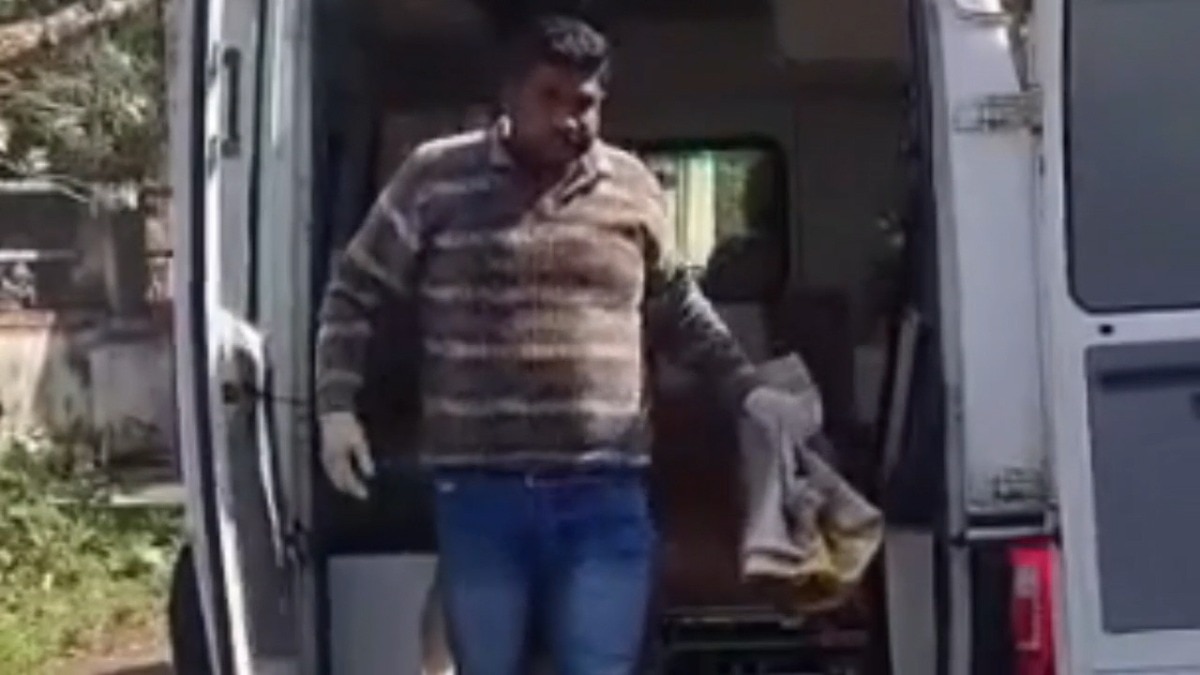 Newborn Baby Mauled to Death by Dog