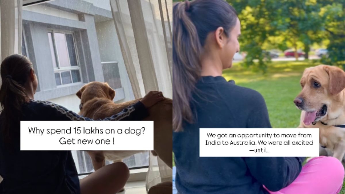 भारतीय कपल अपने पेट डॉग को 15 लाख रुपये खर्च कर अपने साथ ऑस्ट्रेलिया लेकर गया.  (Photo:  x/@Kahaanioftails)