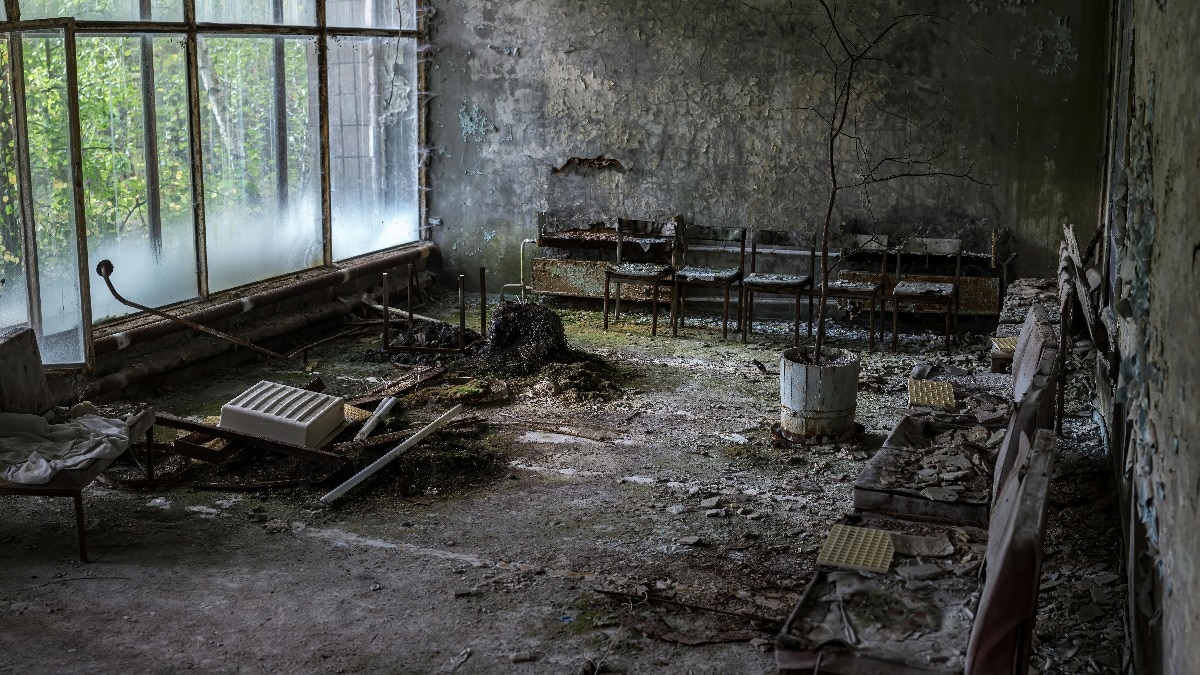 Chernobyl nuclear disaster survivor