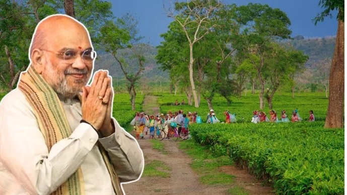  big economic boost to tea growers and exporters.