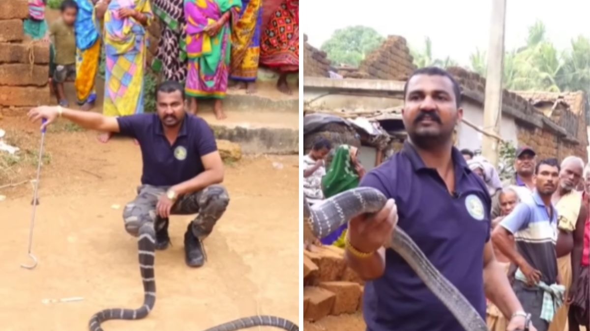 फेमस यूट्यूबर निकला गांजा तस्कर. (Photo: Screengrab)