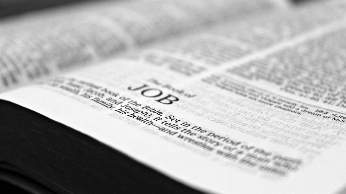 NTA ने CSIR UGC NET दिसंबर 2025 का रिजल्ट जारी कर दिया है. (Photo: Pexels)