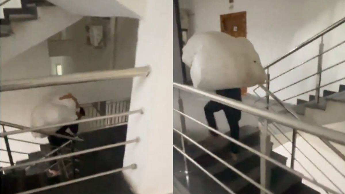 वीडियो में एक मजदूर को भारी सामान के साथ छठी मंजिल तक सीढ़ियों से जाते हुए देखा जा सकता है.  (Photo:  x/@Abhishekkkk10)