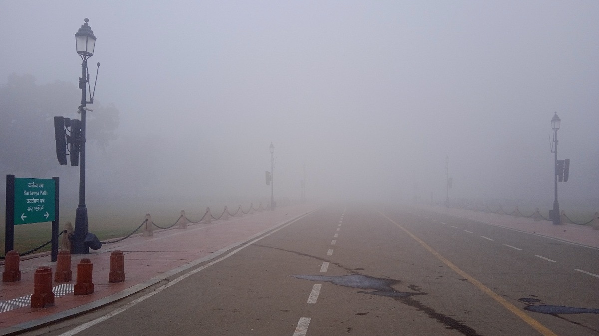 इंडिया गेट इलाके में घना कोहरा