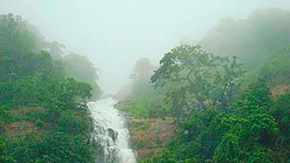 सोलो ट्रिप पर लोनावाला गई लॉ स्टूडेंट, 300 फीट नीचे खाई में मिला शव, सुसाइड या कुछ और? जांच में जुटी पुलिस - lonavala law student solo trip gorge death suicide suspected