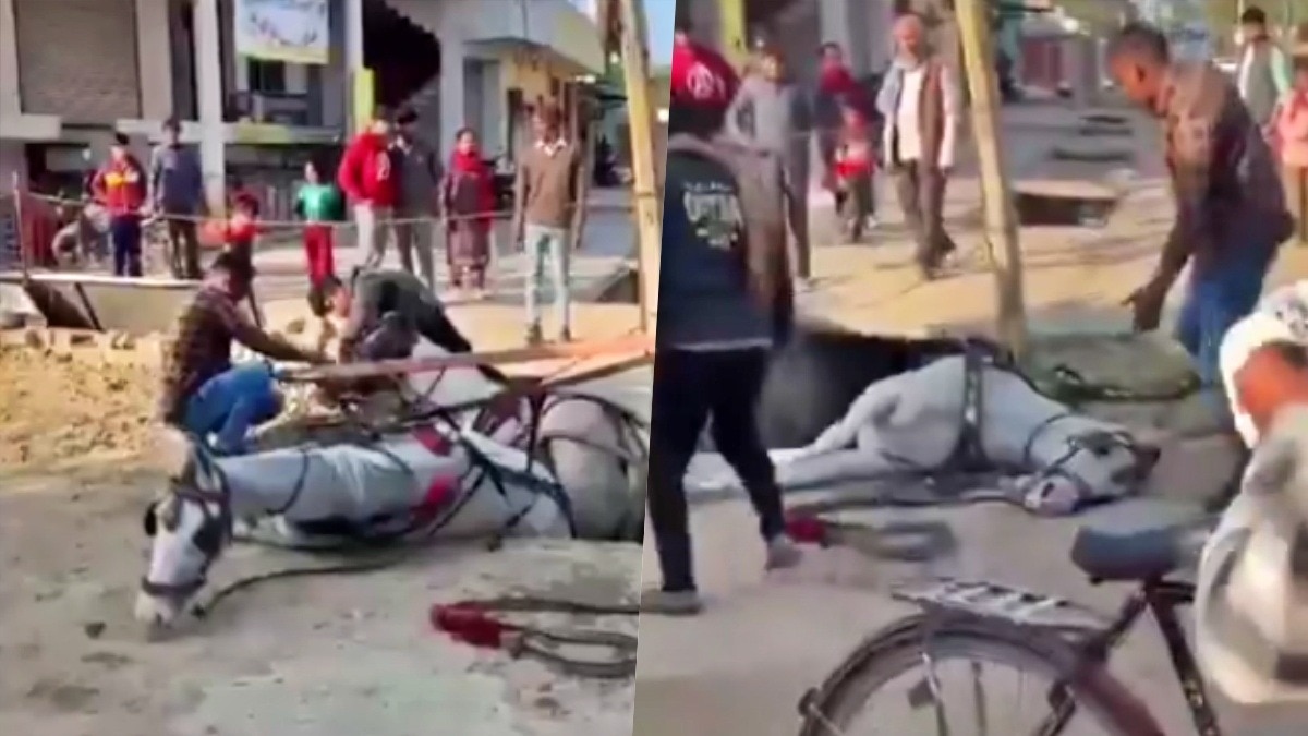 लखनऊ में नगर निगम की लापरवाही के चलते हादसा (Photo- Screengrab)