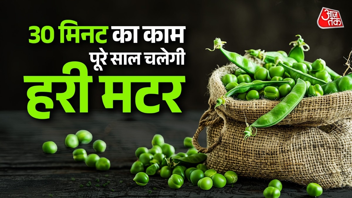 मटर सर्दियों के मौसम में आती है. (Photo: ITG)