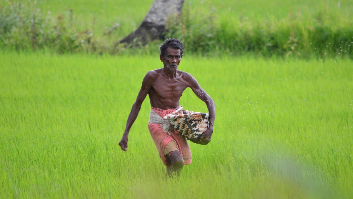 किसान सॉइल हेल्थ कार्ड की मदद से कई फायदे पा सकते हैं. (Photo: Pexels)