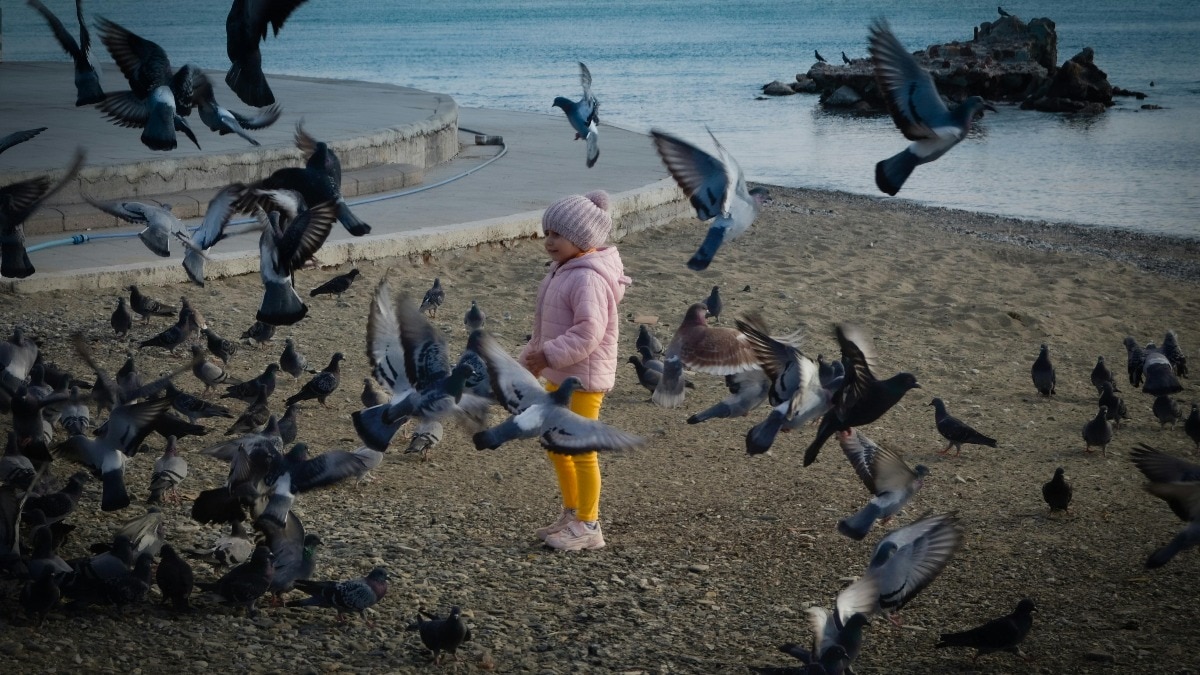 सिंगापुर में भारतीय मूल की महिला ने कबूतरों को खाना खिलाने पर जुर्माना भरना पड़ा है.(Photo:Pexels) 