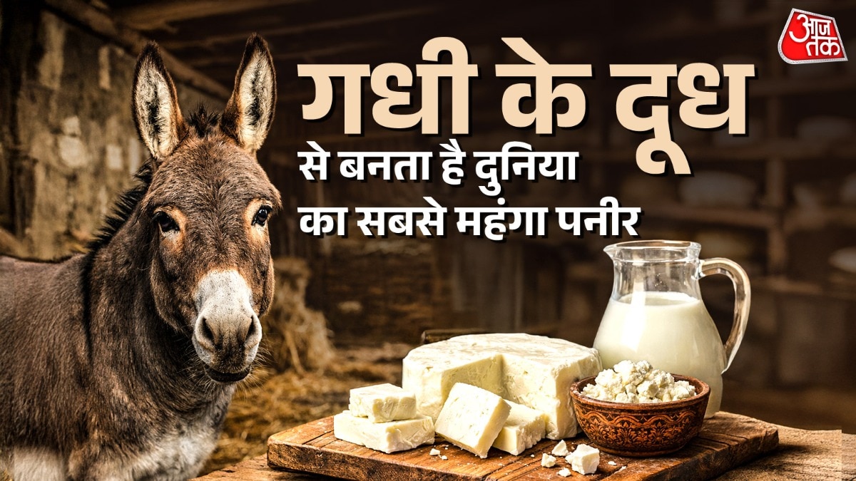 Benefits of Using Pule Cheese