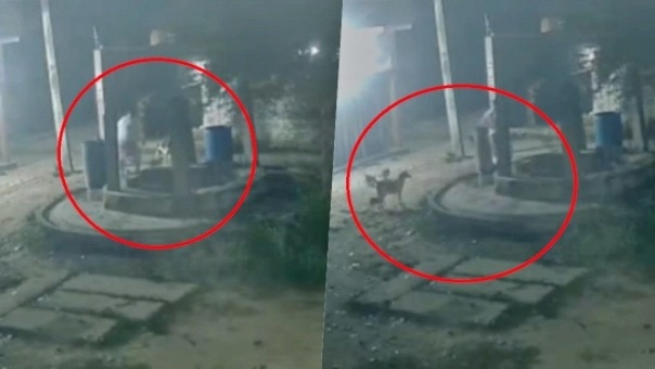  man threw six puppies into well (Photo - Screengrab)
