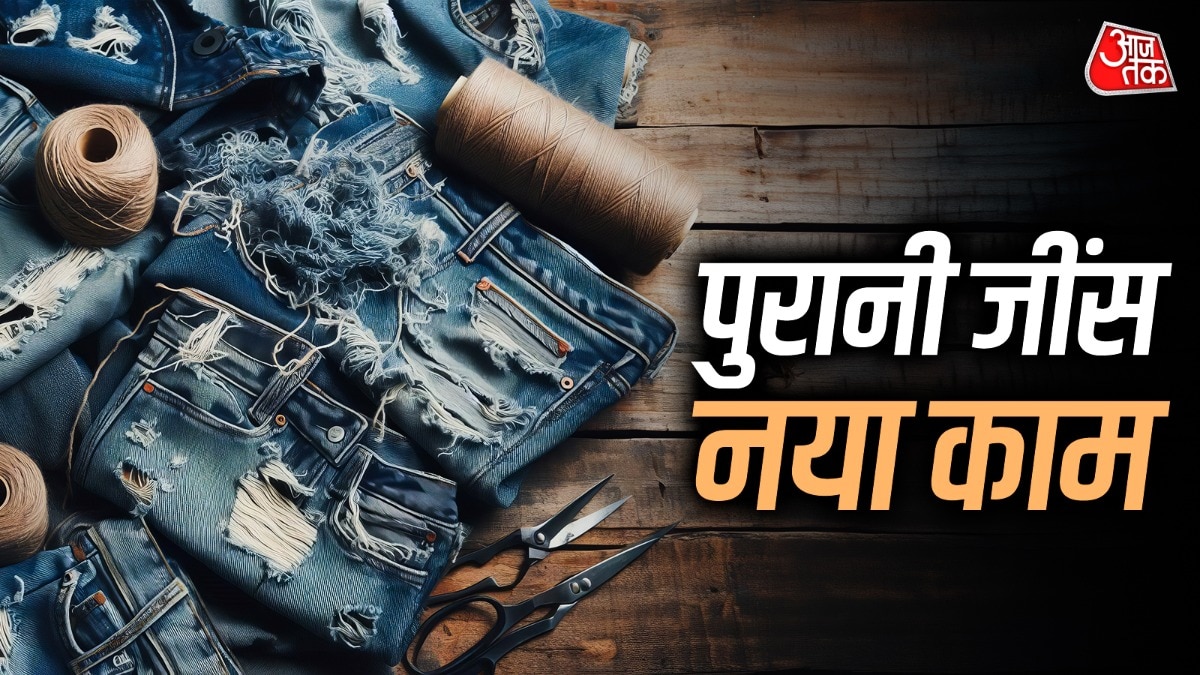 पुरानी जींस को आप पातलू जानवरों के खिलौने बनाने में इस्तेमाल कर सकते हैं. (Photo: ITG)