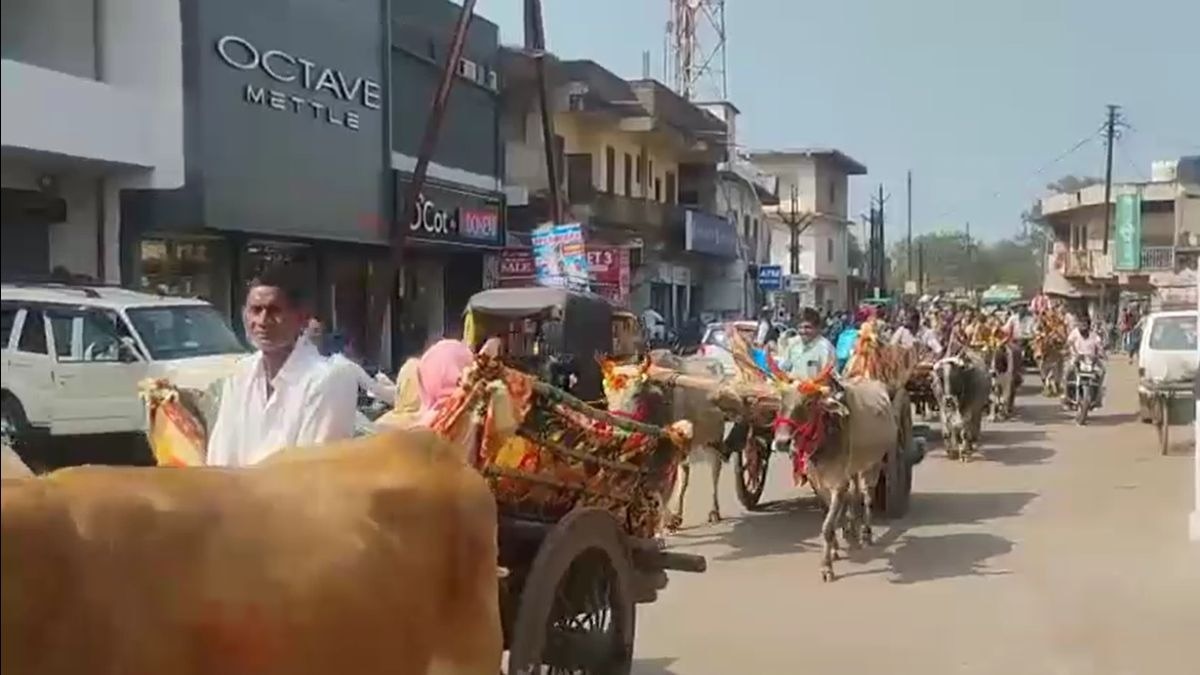 शहर के बीच से बैलगाड़ी से निकली डॉक्टर दूल्हे की बारात. (Photo: Screengrab)