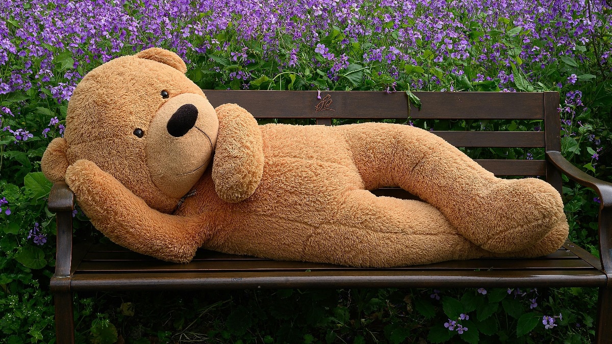 Teddy Day wishes 2026