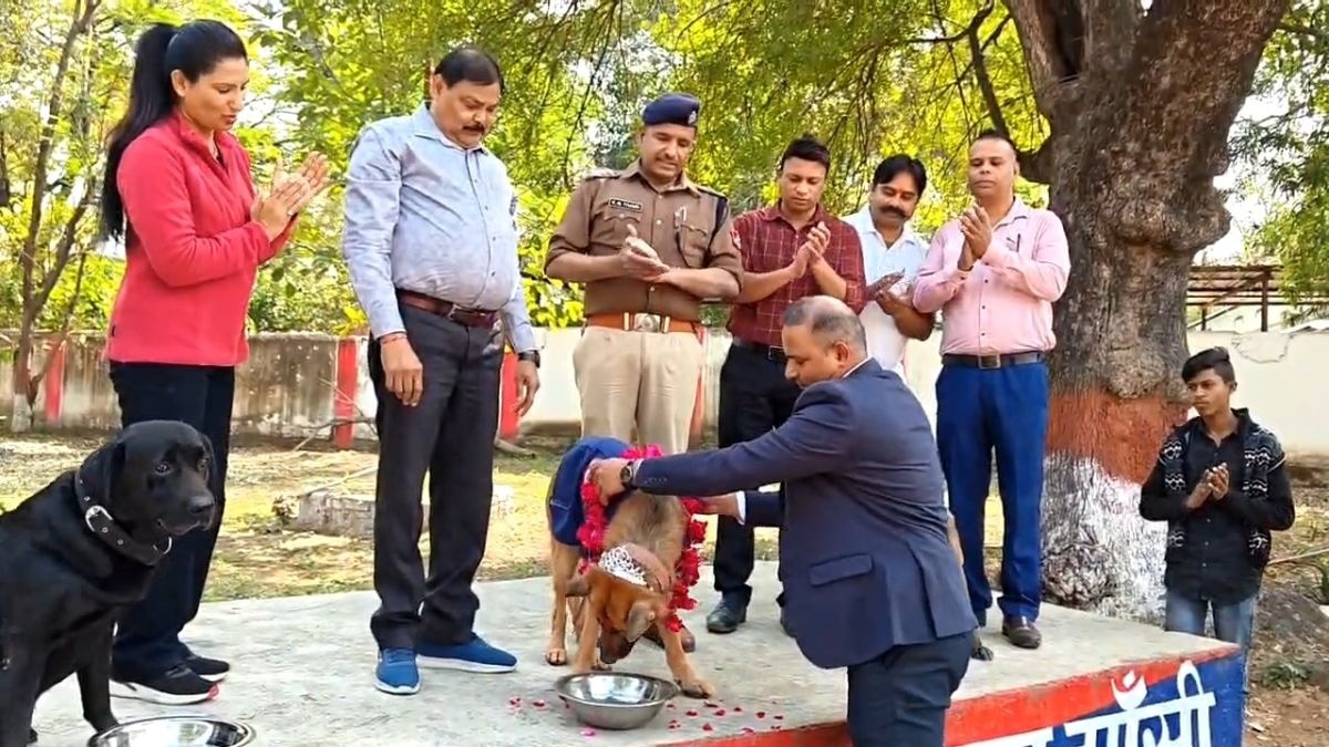 दस साल की सेवा के बाद रिटायर हुआ ट्रैकर डॉग. (Photo: ITG)