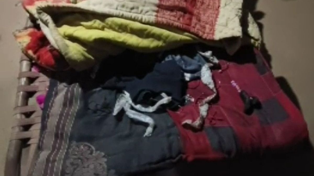 लड़की जिस बिस्तर पर सोई थी, वहां मिली सांप की केंचुली. (Photo: Screengrab)