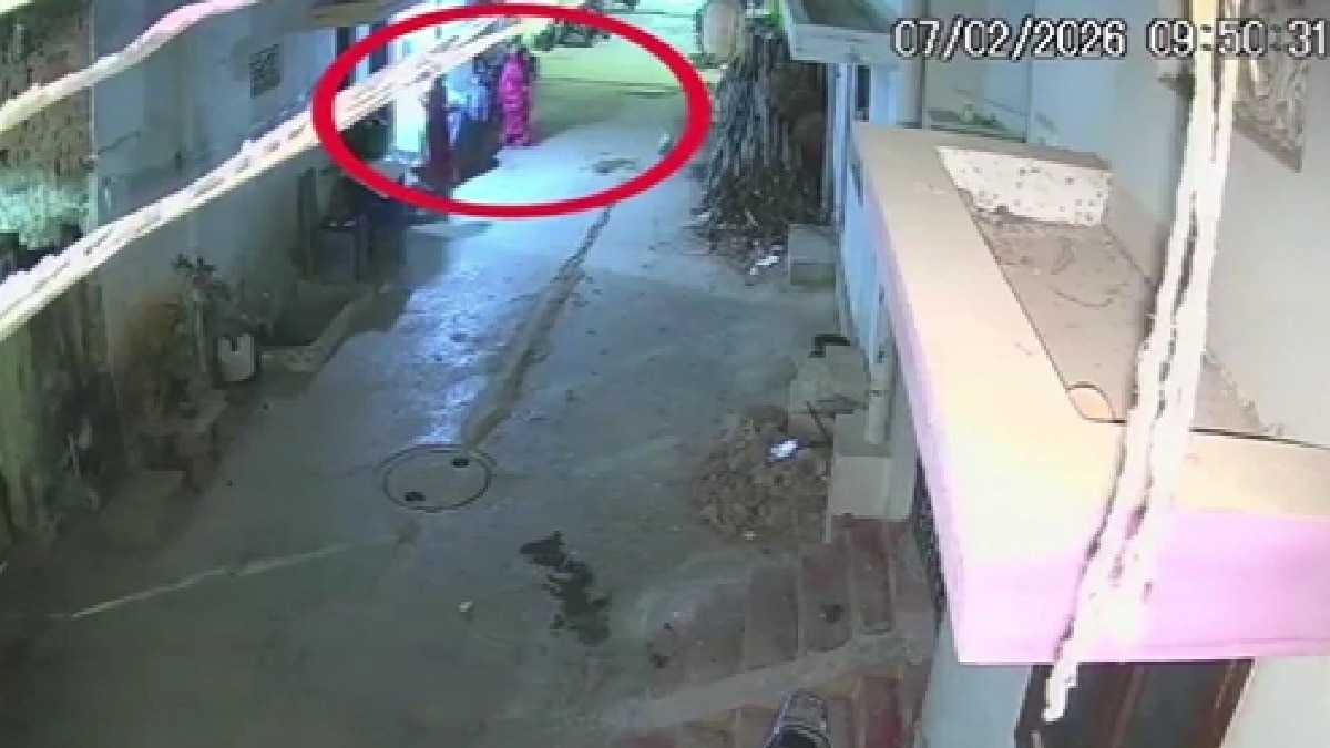 19 माह के मासूम को आवारा कुत्ते ने नोंचा (Photo: itg)