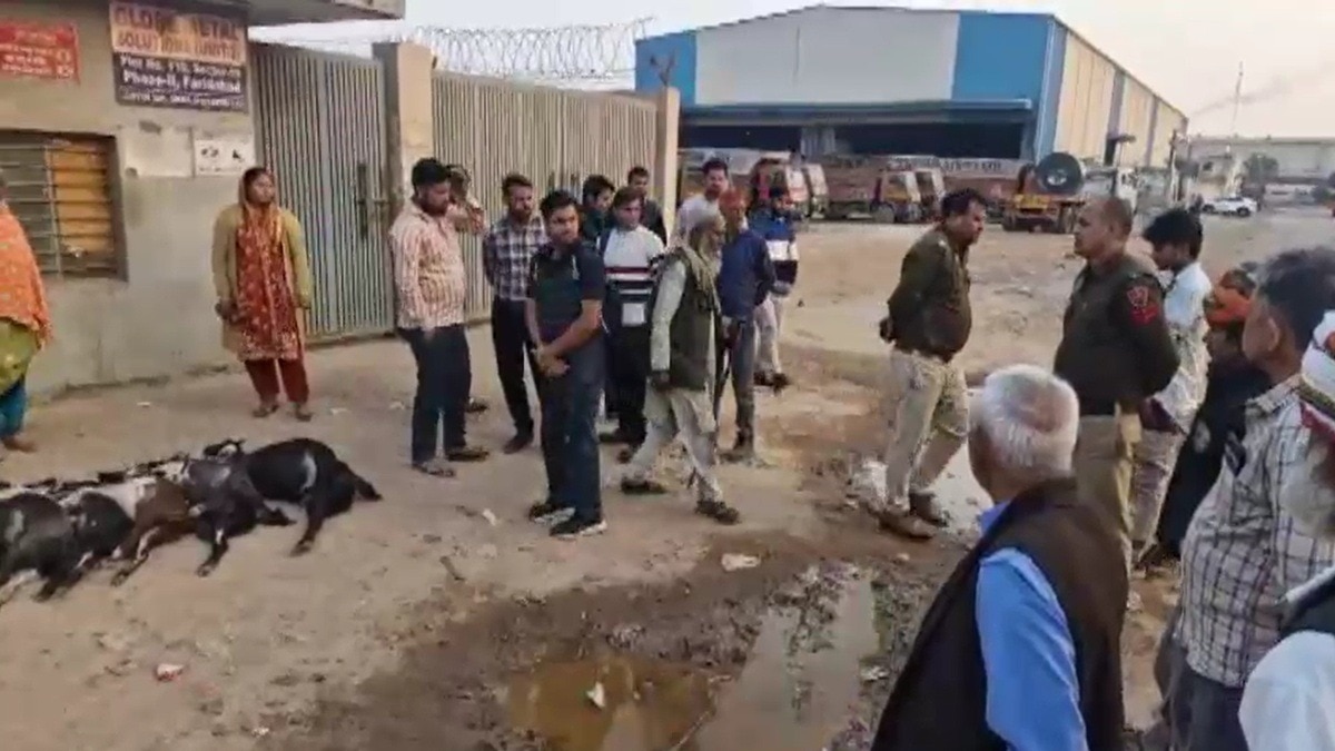 फरीदाबाद में 10 बकरियों की मौत से हड़कंप. (Photo: Screengrab)