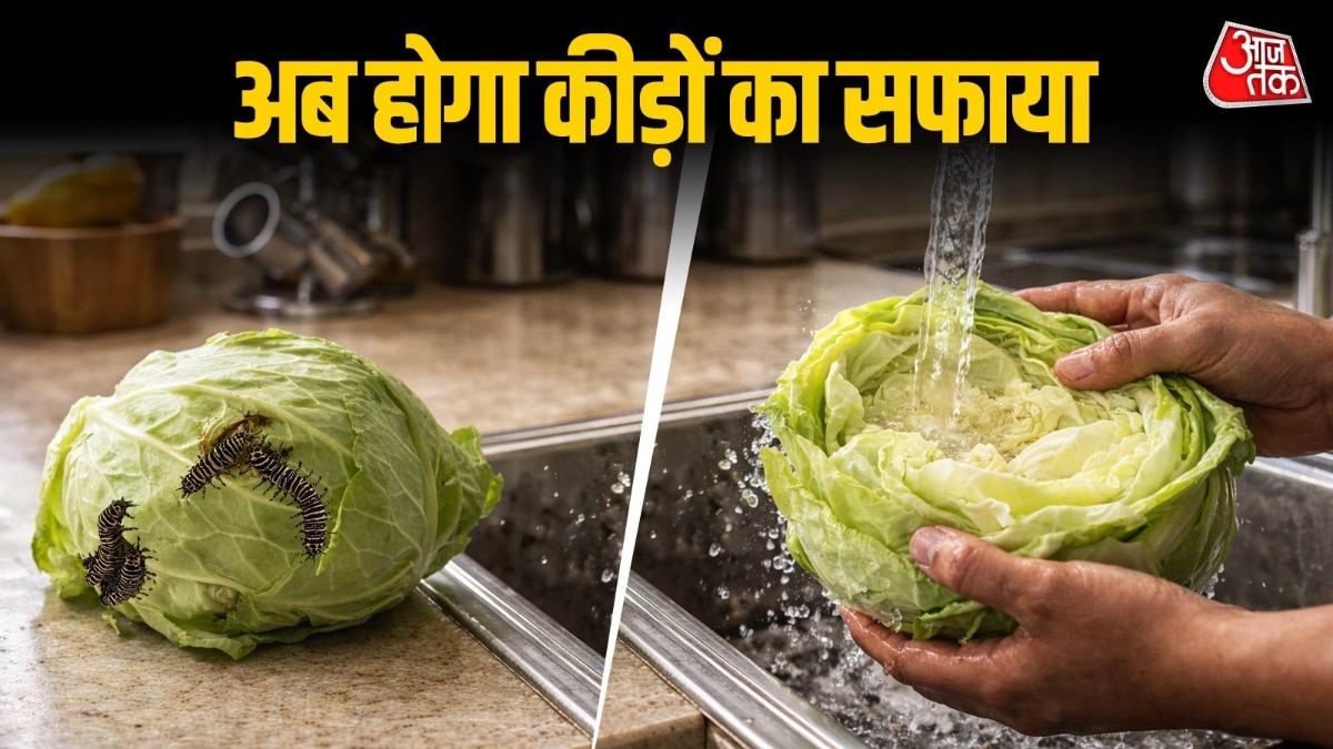 how to remove worms and insects 