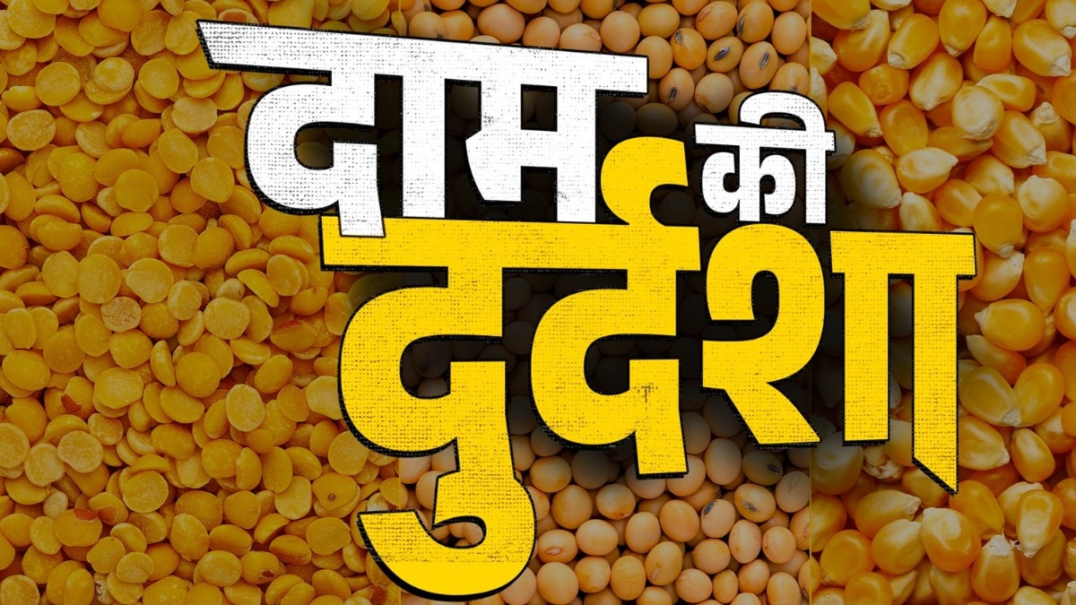 सोयाबीन से लेकर तूर MSP से नीचे बिके (Photo: ITG)