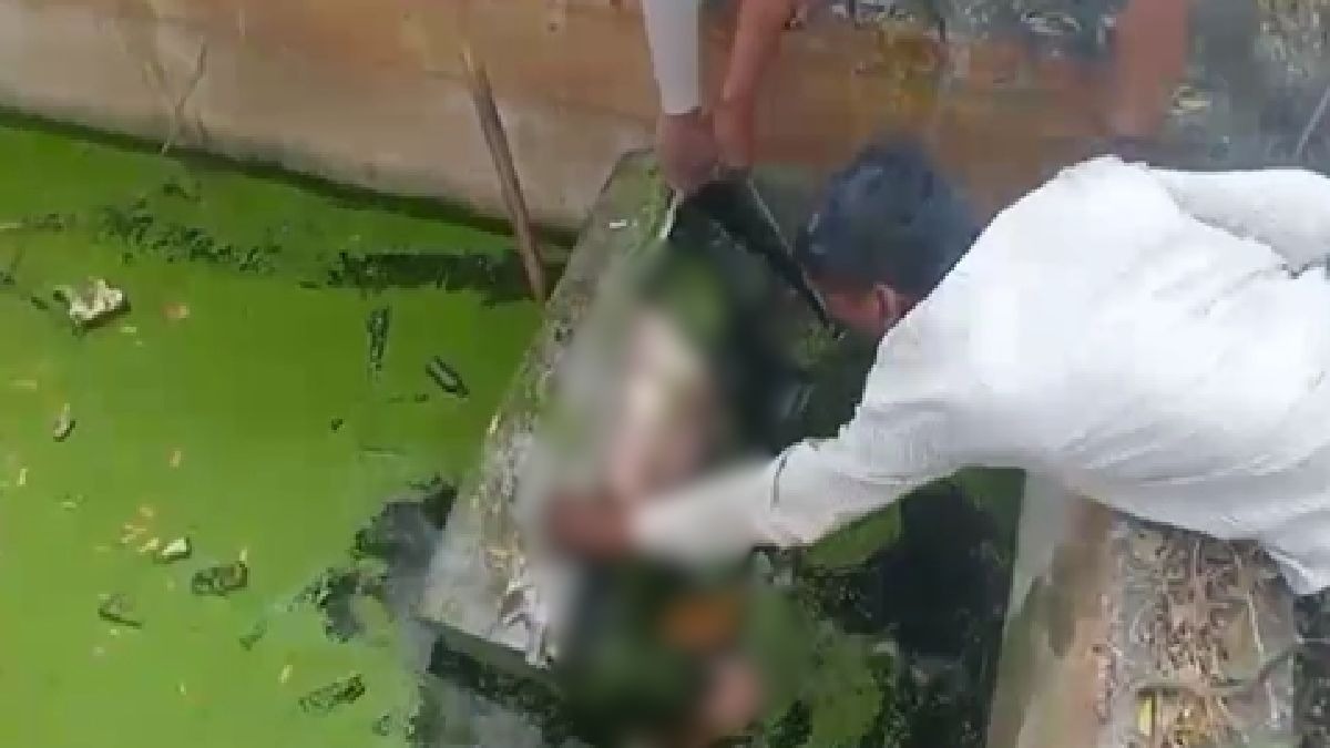 सेप्टिक टैंक के अंदर संदूक में मिली महिला की लाश (Photo: itg)