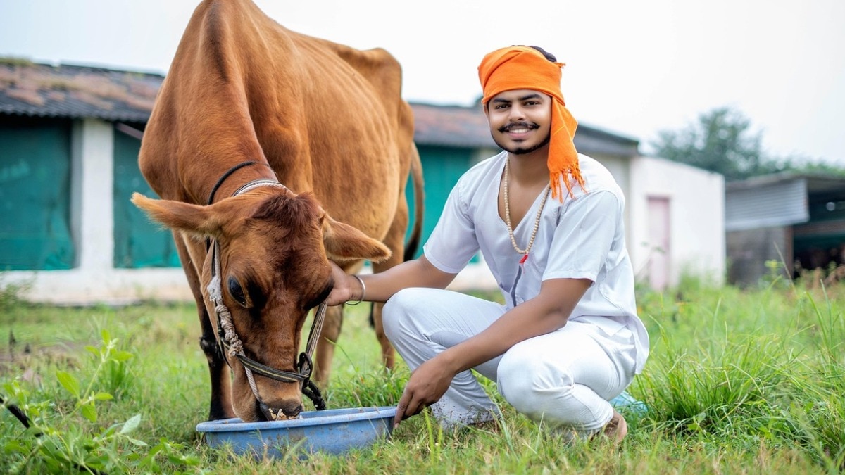 15 फरवरी से पशुपालकों को टीकाकरण के बाद OTP शेयर करना होगा. (Photo: Pixabay)