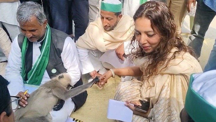 धरने के बीच ‘NO मटरू’ की गूंज.(Photo: Screengrab)