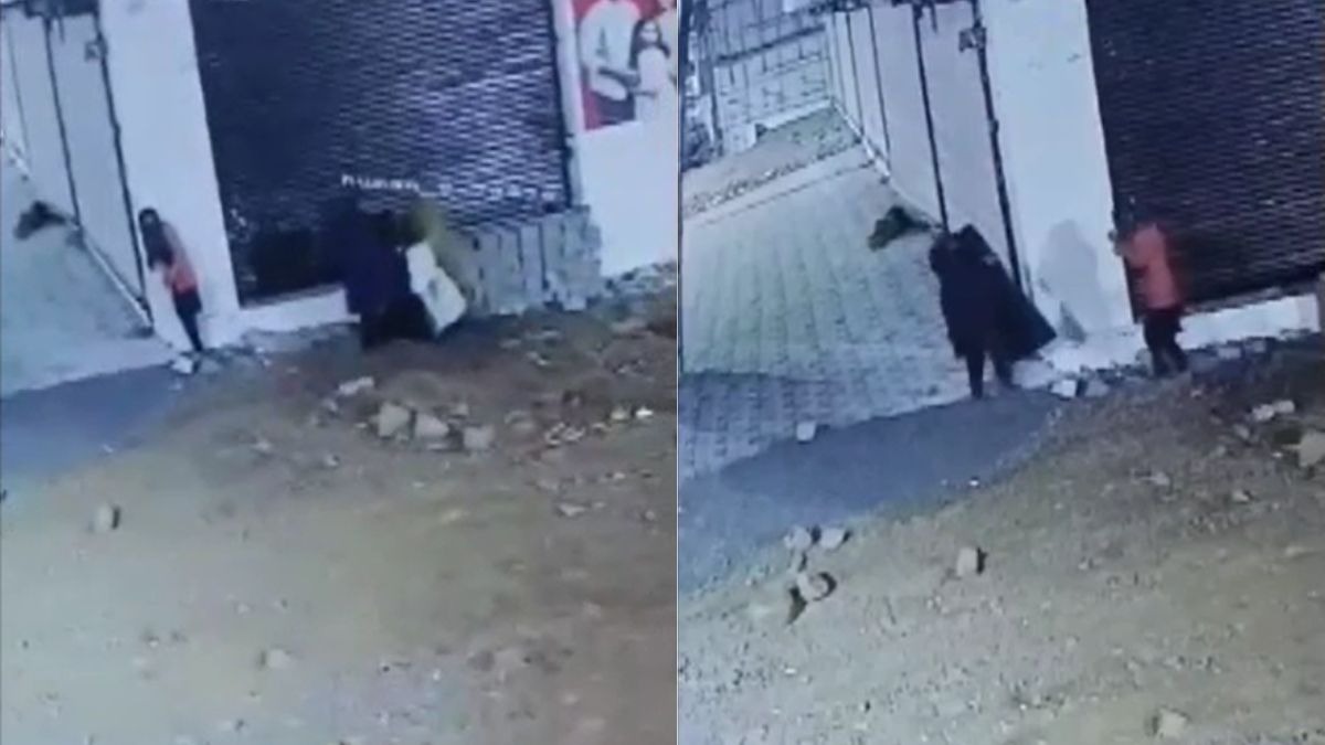 सीसीटीवी में दिखा महिला चोरों का गैंग. (Photo: Screengrab)