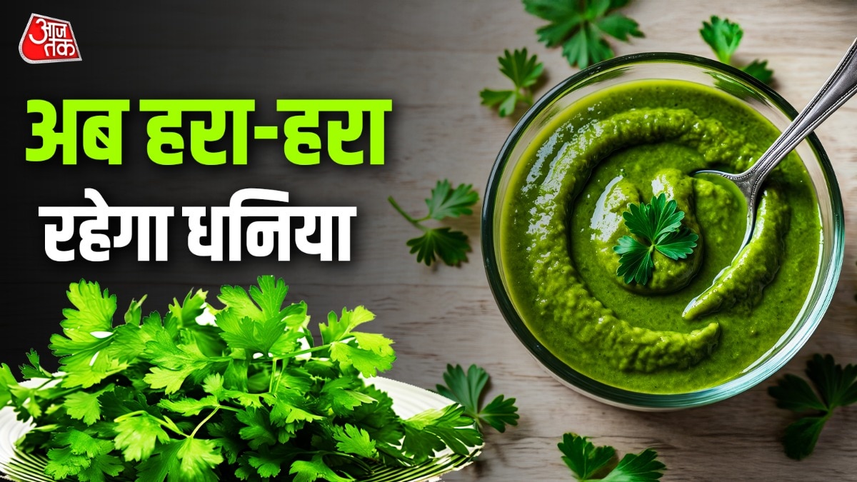 how to keep coriander leaves