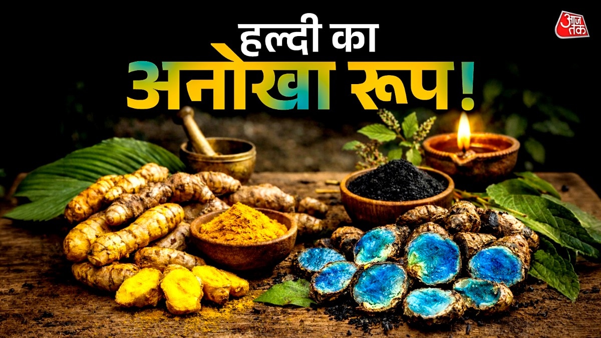 Blue Turmeric (Photo: ITG)